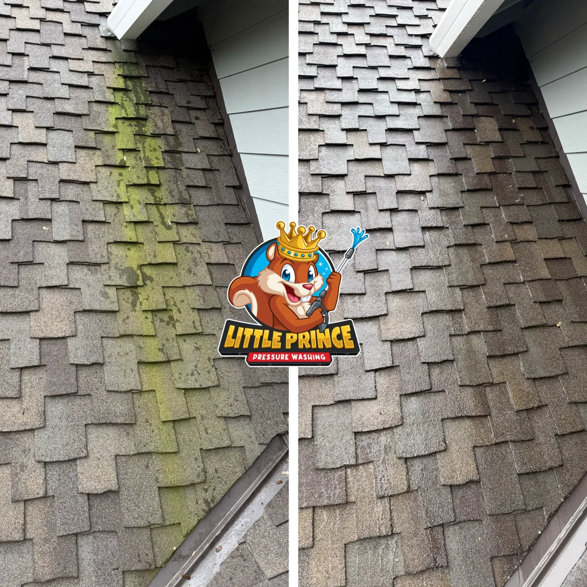Roof moss and algae removal before and after close up
