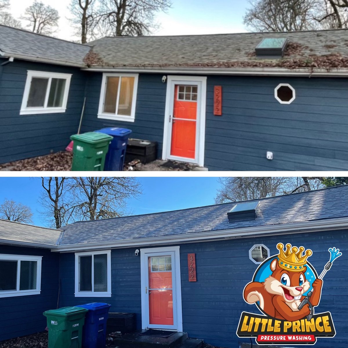 Full house roof cleaning before and after